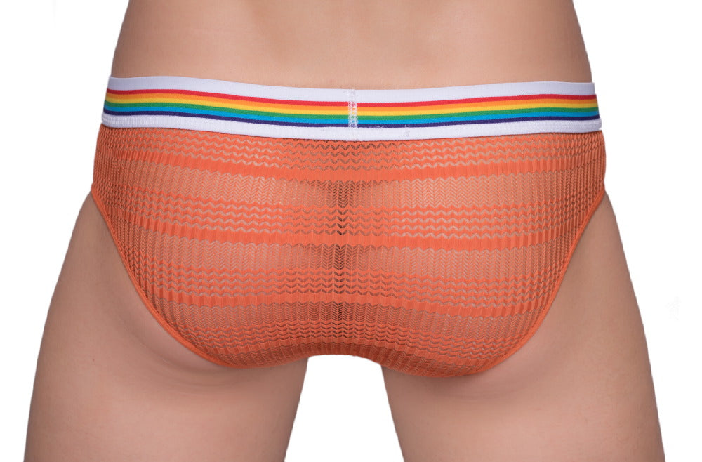 Pride Sheer Mesh Archery Brief - DealByEthan.gay loves Pride