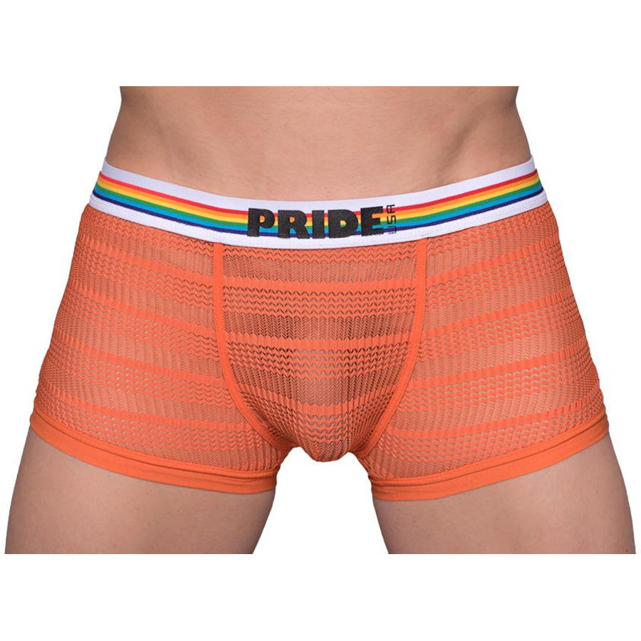 Pride Sheer Mesh Archery Trunk - DealByEthan.gay loves Pride