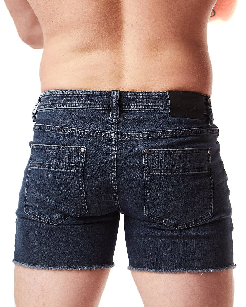QUAD SHORT - DealByEthan.gay loves Nasty Pig