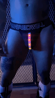 RAVE POUCH - DealByEthan.gay loves Breedwell