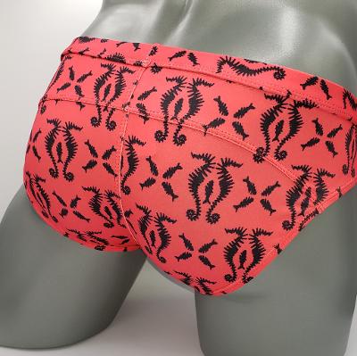 SEA HORSE BRIEF - DealByEthan.gay