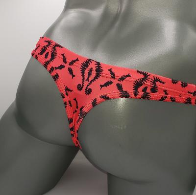 SEA HORSE THONG - DealByEthan.gay
