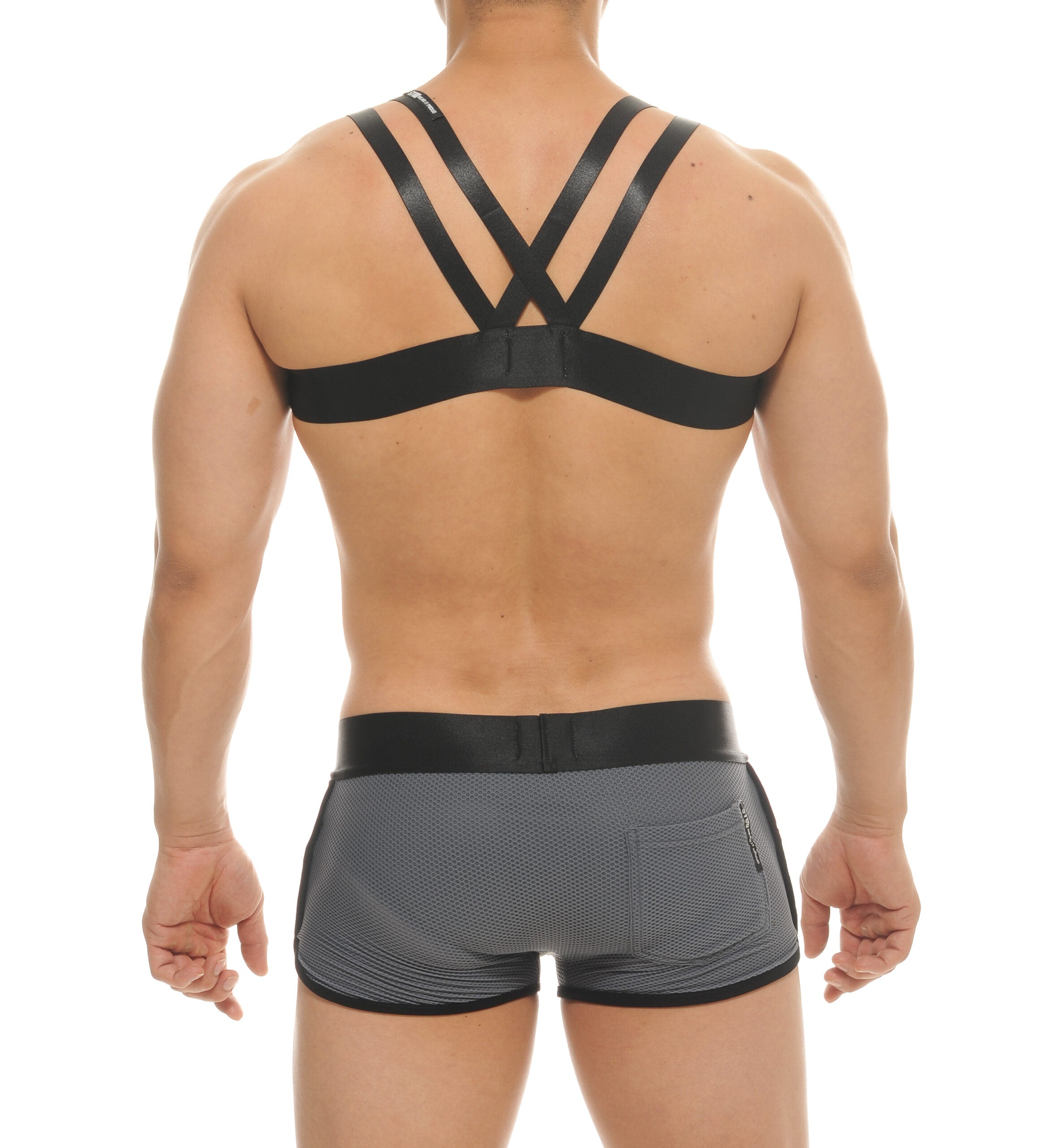 MUSCAT HARNESS - DealByEthan.gay