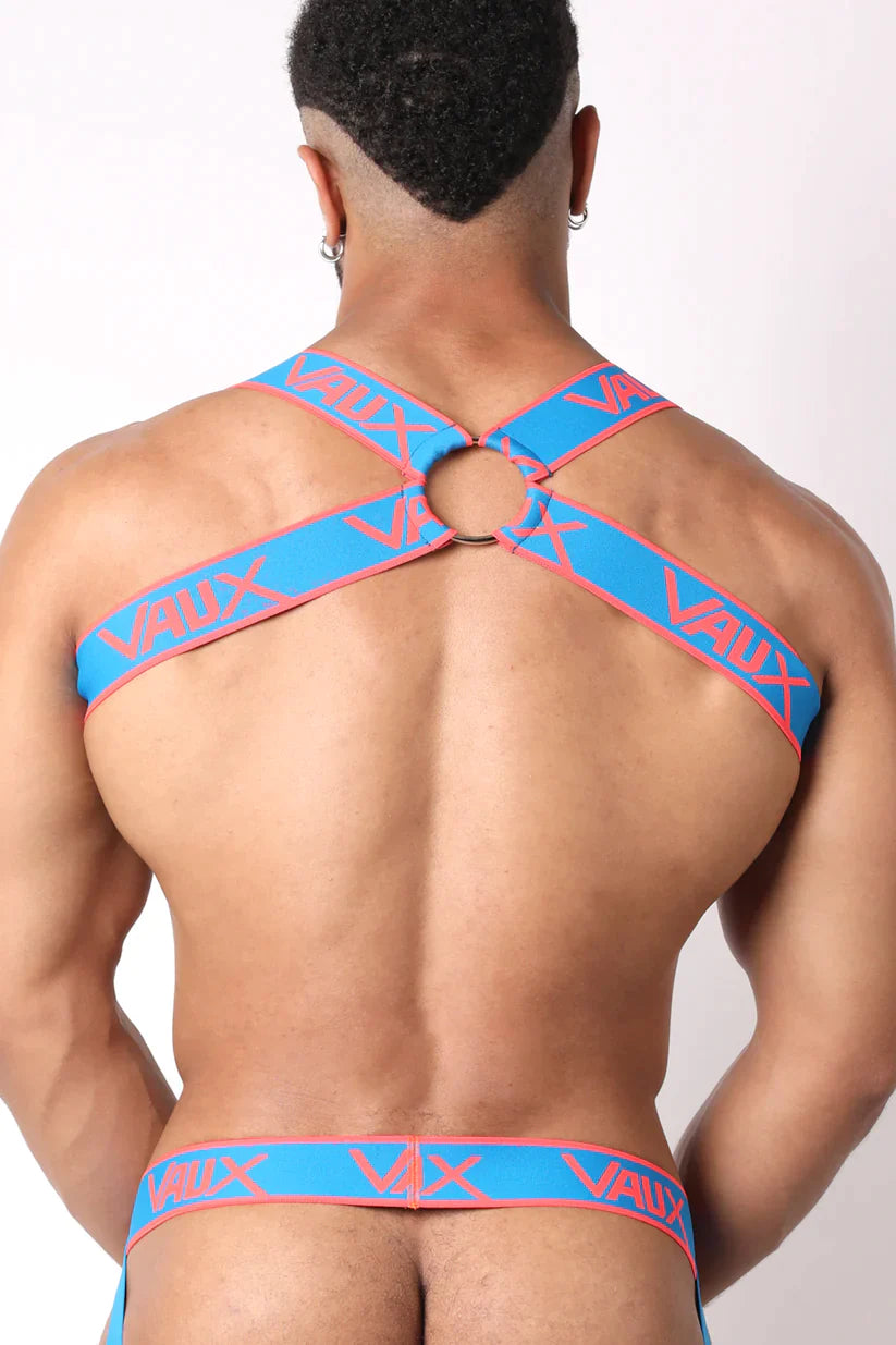 SUPERNOVA HARNESS - DealByEthan.gay loves Vaux