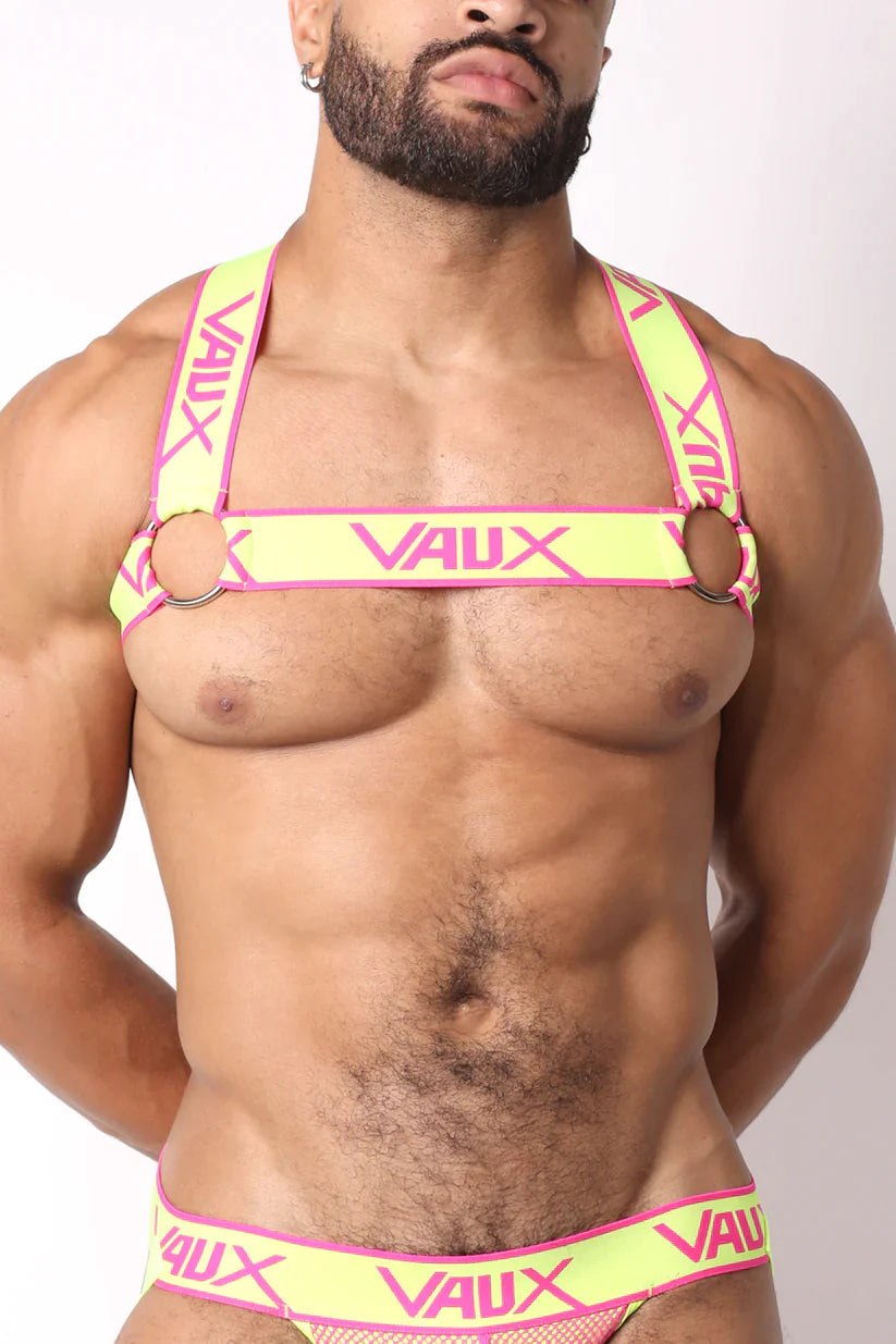 SUPERNOVA HARNESS - DealByEthan.gay loves Vaux