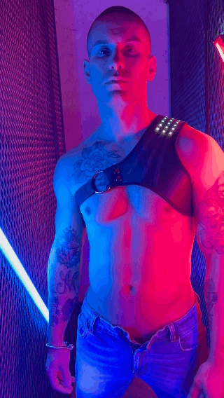 SYNERGY HARNESS - BLACK - DealByEthan.gay loves Breedwell