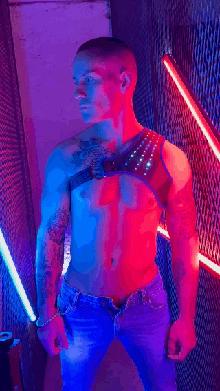 SYNERGY HARNESS - BLUE - DealByEthan.gay loves Breedwell