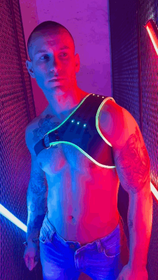 SYNERGY HARNESS - NEON GREEN - DealByEthan.gay loves Breedwell