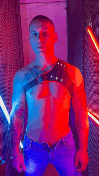 SYNERGY HARNESS - RED - DealByEthan.gay loves Breedwell
