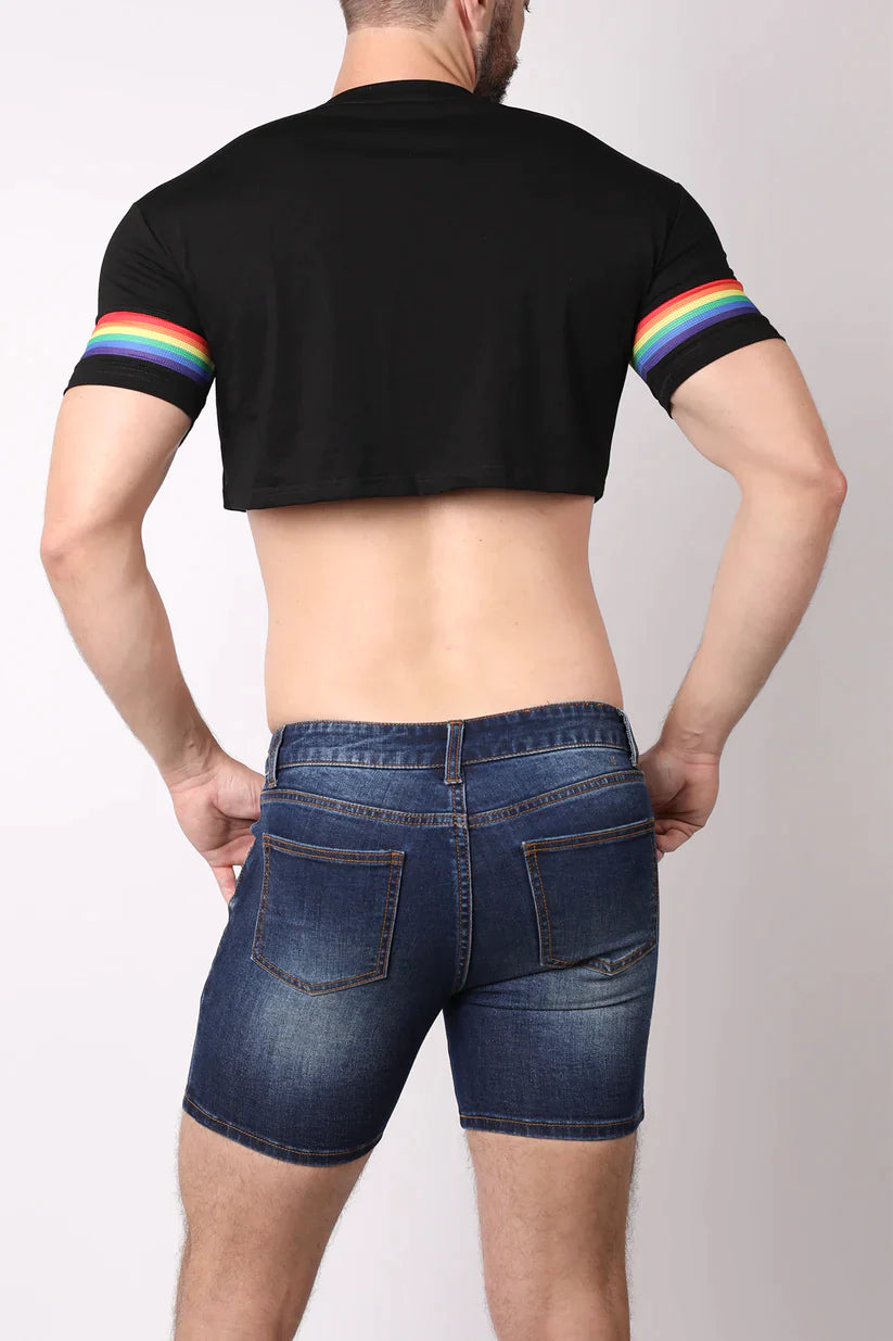 TIMOTEO PRIDE 23 CROP TOP - DealByEthan.gay