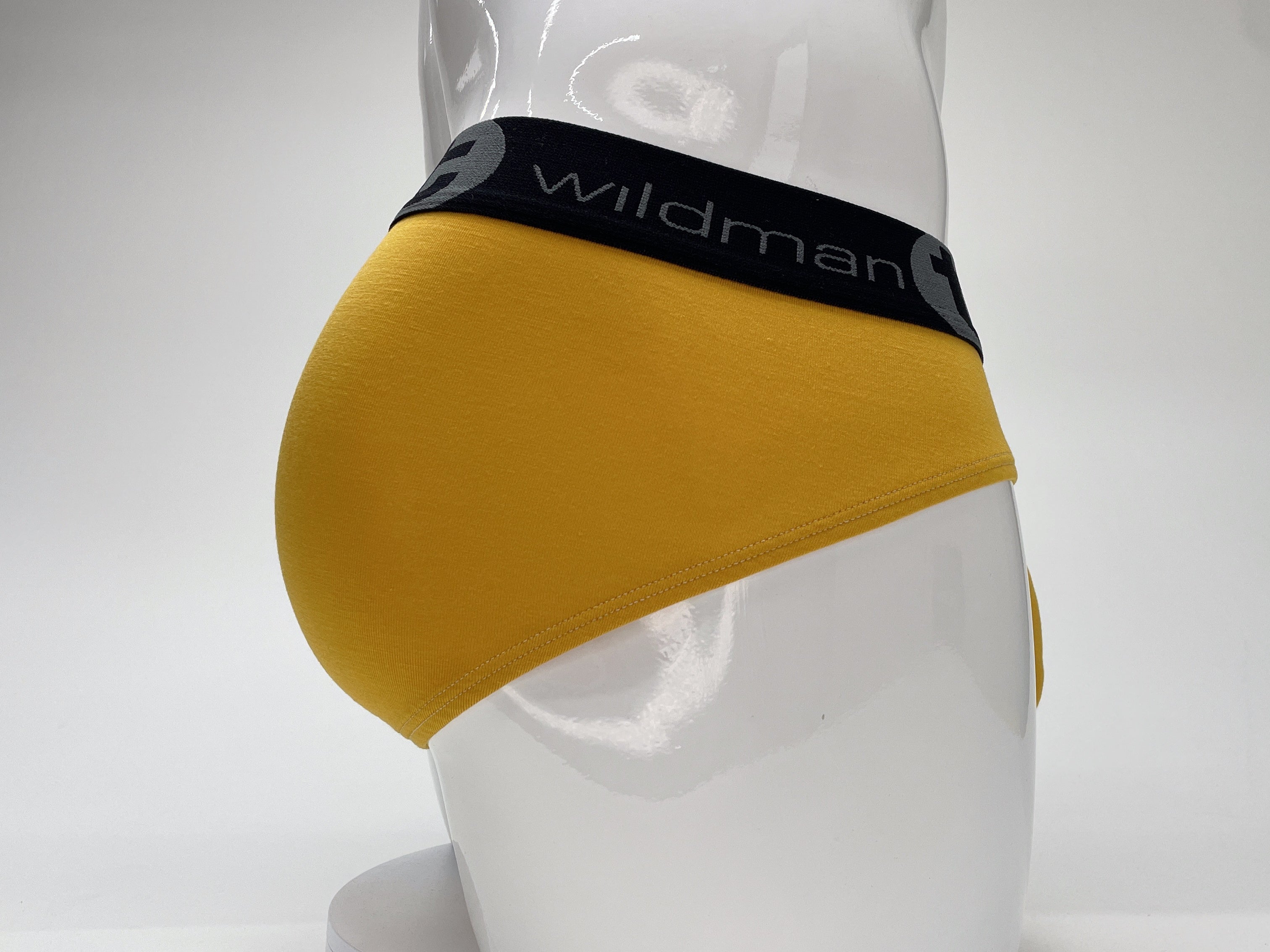 WildmanT Modal Big Boy Pouch Brief Gold - DealByEthan.gay loves WildmanT