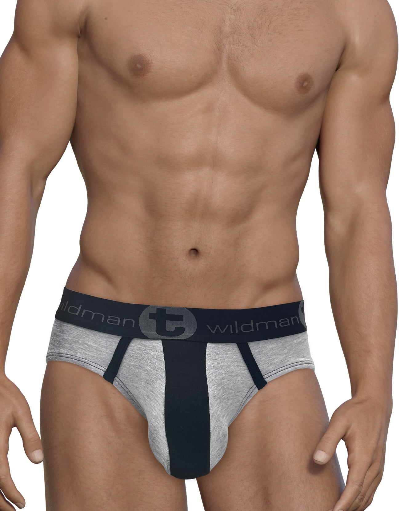 WildmanT Stretch Cotton Big Boy Pouch Brief Gray/Black - DealByEthan.gay