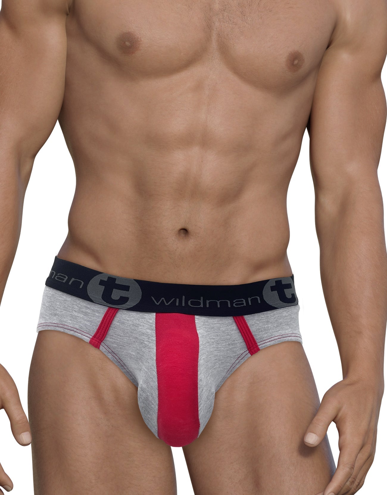 WildmanT Stretch Cotton Big Boy Pouch Brief Gray/Red - DealByEthan.gay