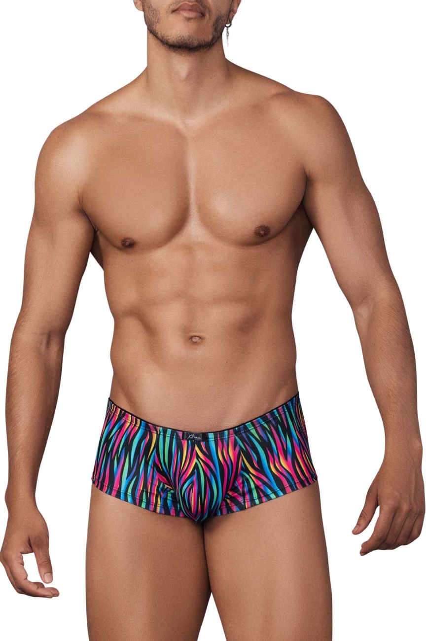 Xtremen 91147 Printed Microfiber Trunks Color Disco Zebra - DealByEthan.gay loves Xtremen