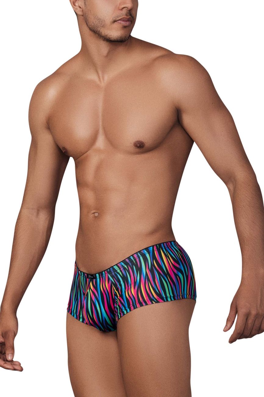 Xtremen 91147 Printed Microfiber Trunks Color Disco Zebra - DealByEthan.gay loves Xtremen