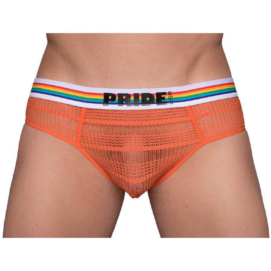 Pride – Transparenter Mesh-Bogenschießslip