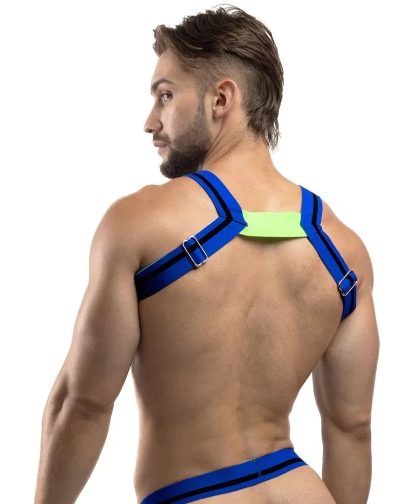 TEASER HARNESS - DealByEthan.gay