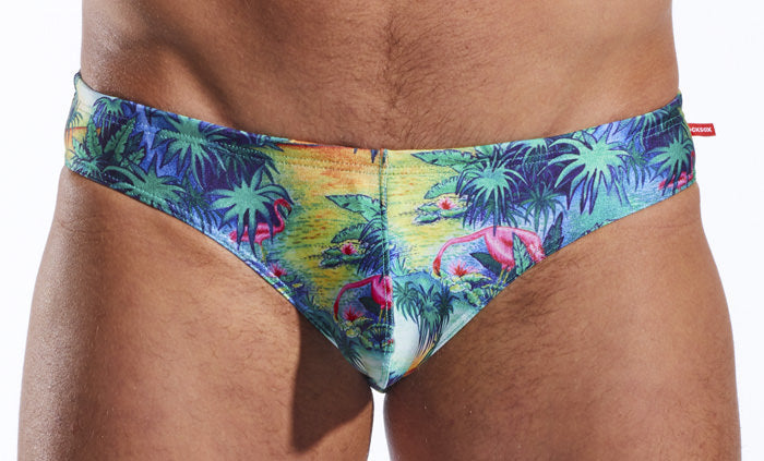 CX04PR Drawstring Swim Brief - DealByEthan.gay