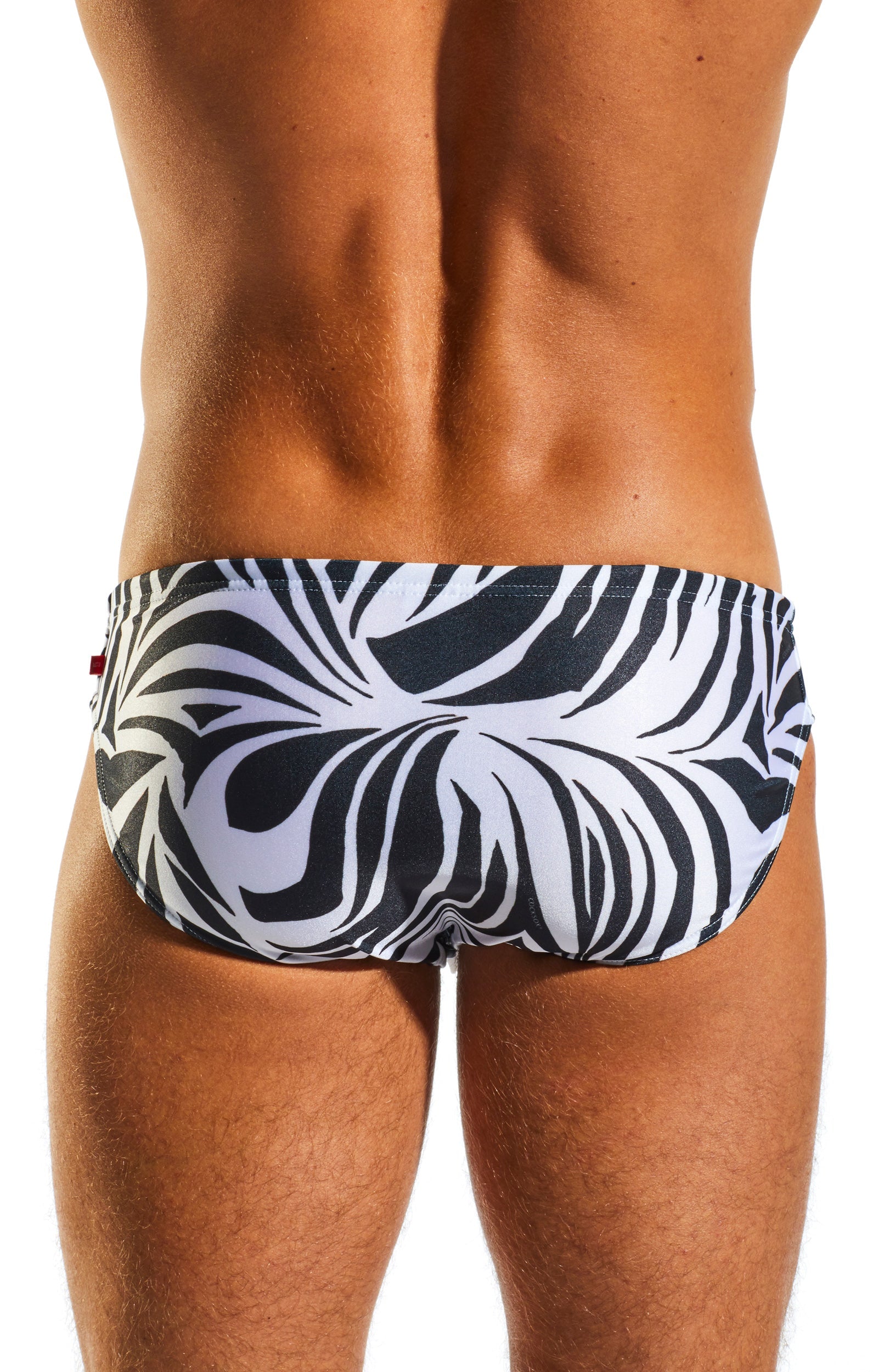 CX06PR Drawstring Swim Brief - DealByEthan.gay