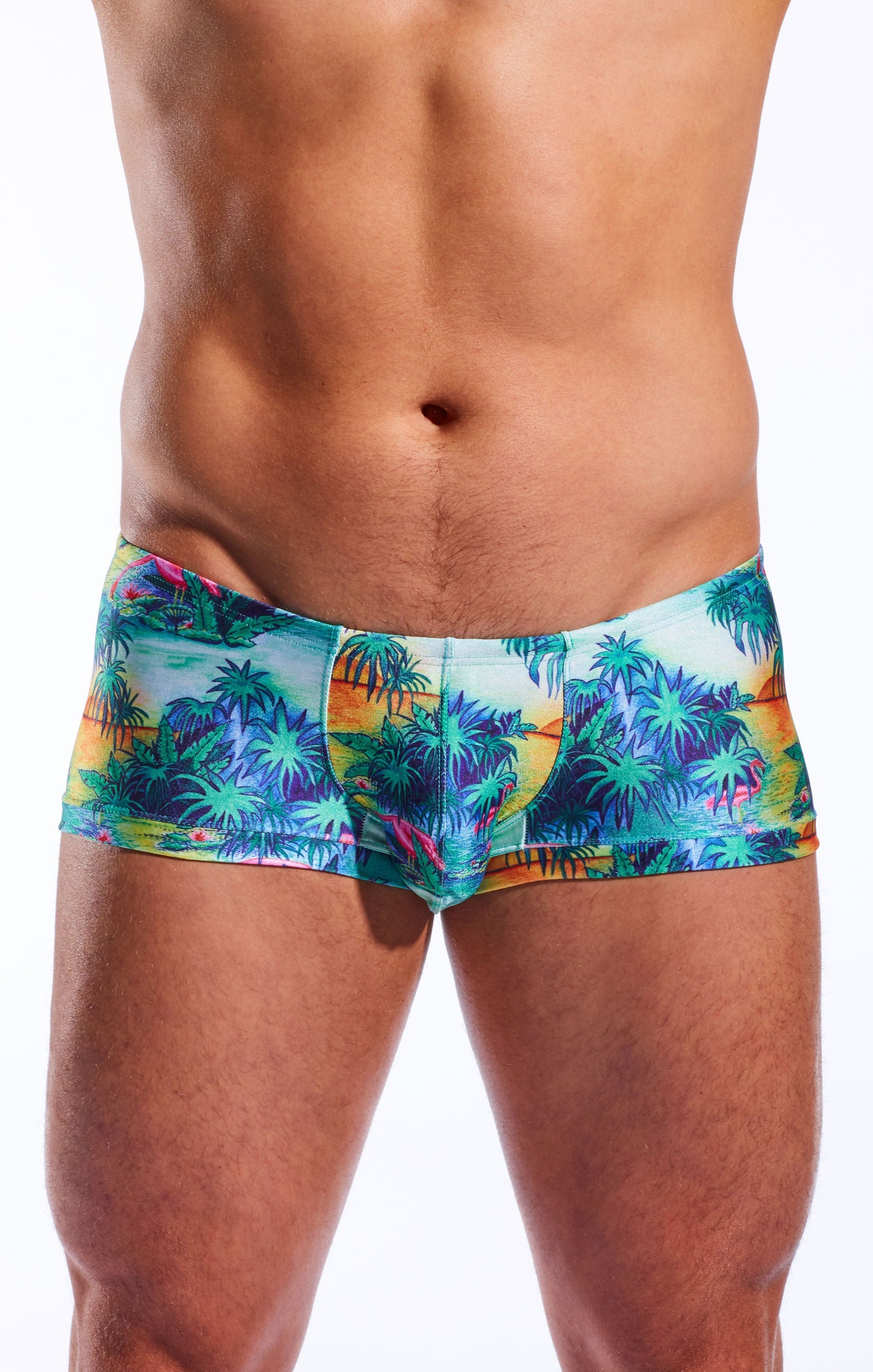 CX08PR Swim Trunk - DealByEthan.gay