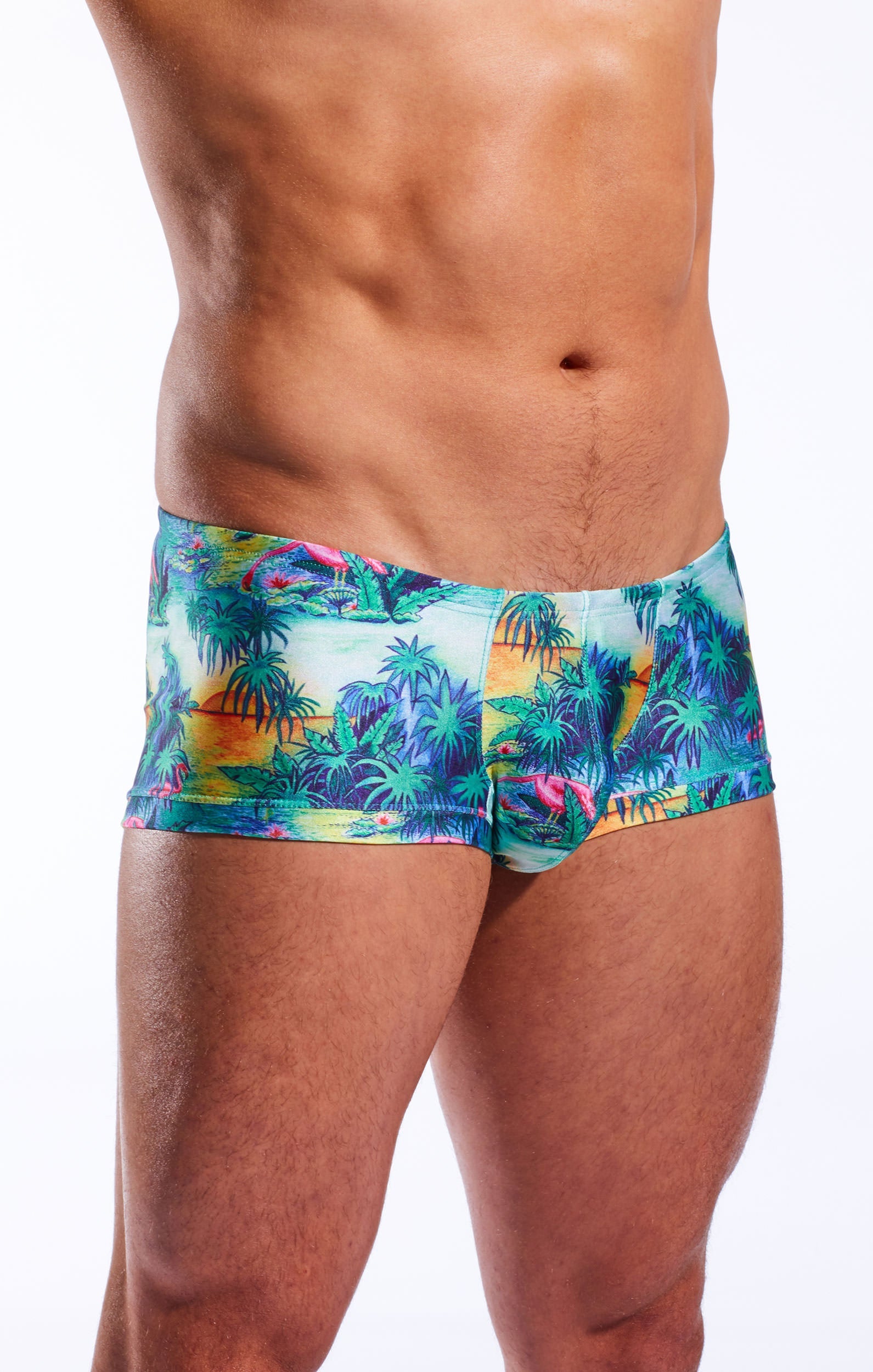 CX08PR Swim Trunk - DealByEthan.gay