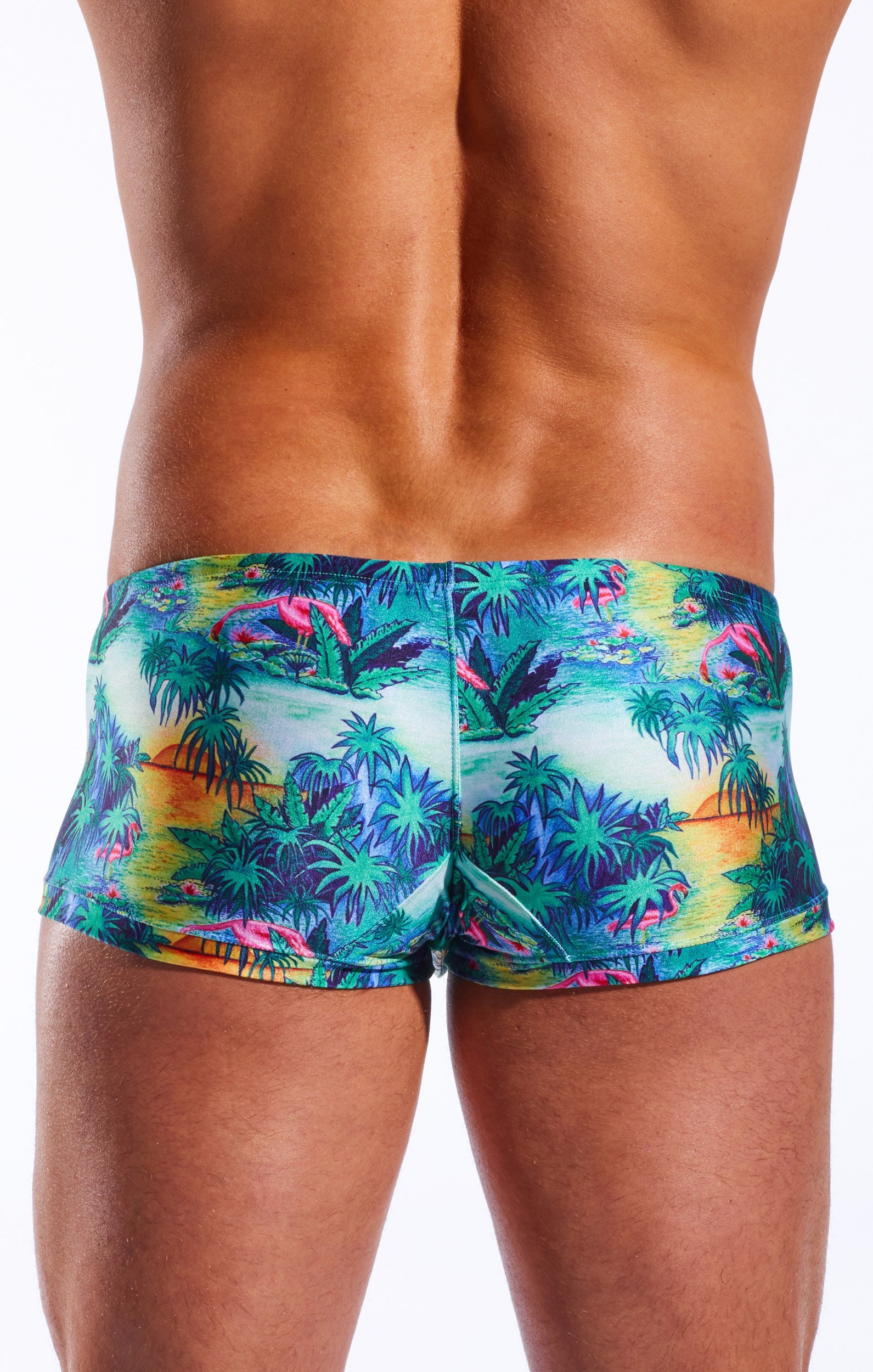 CX08PR Swim Trunk - DealByEthan.gay