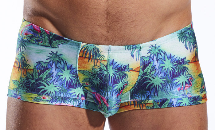 CX08PR Swim Trunk - DealByEthan.gay