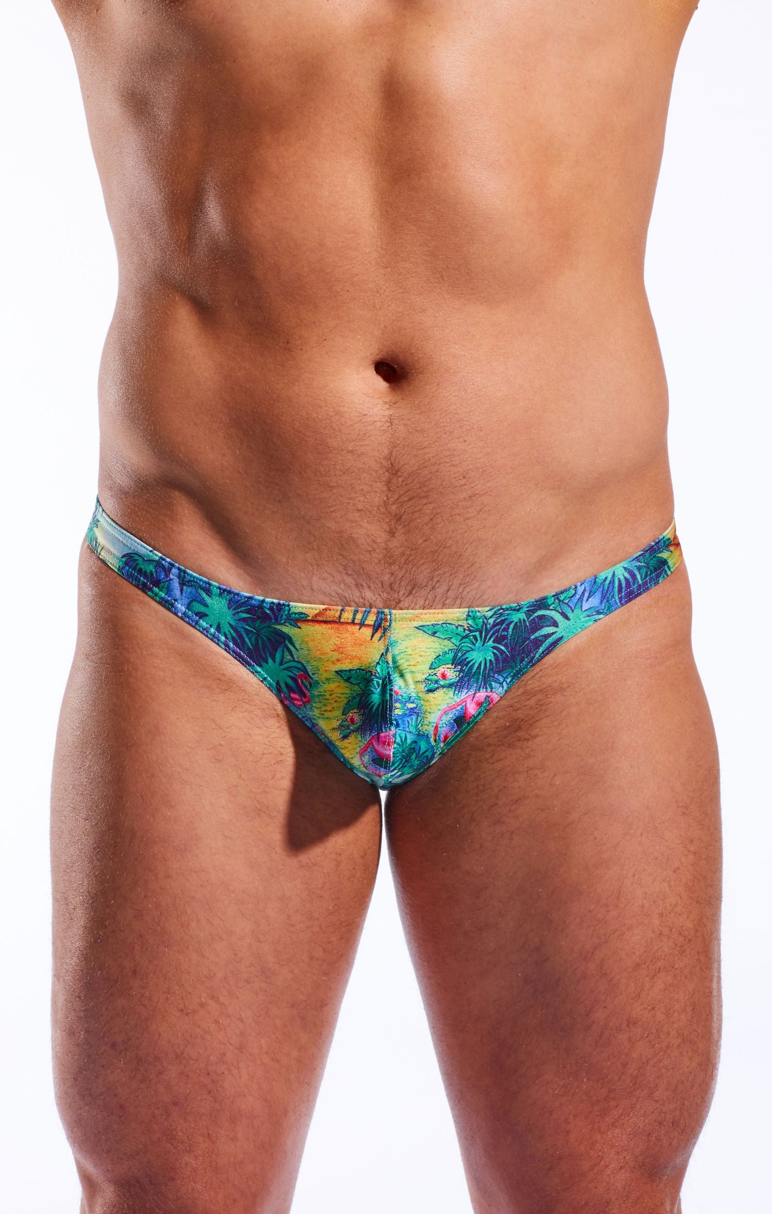 CX22PR Swim Thong - DealByEthan.gay