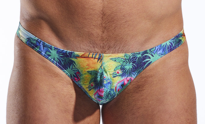 CX22PR Swim Thong - DealByEthan.gay