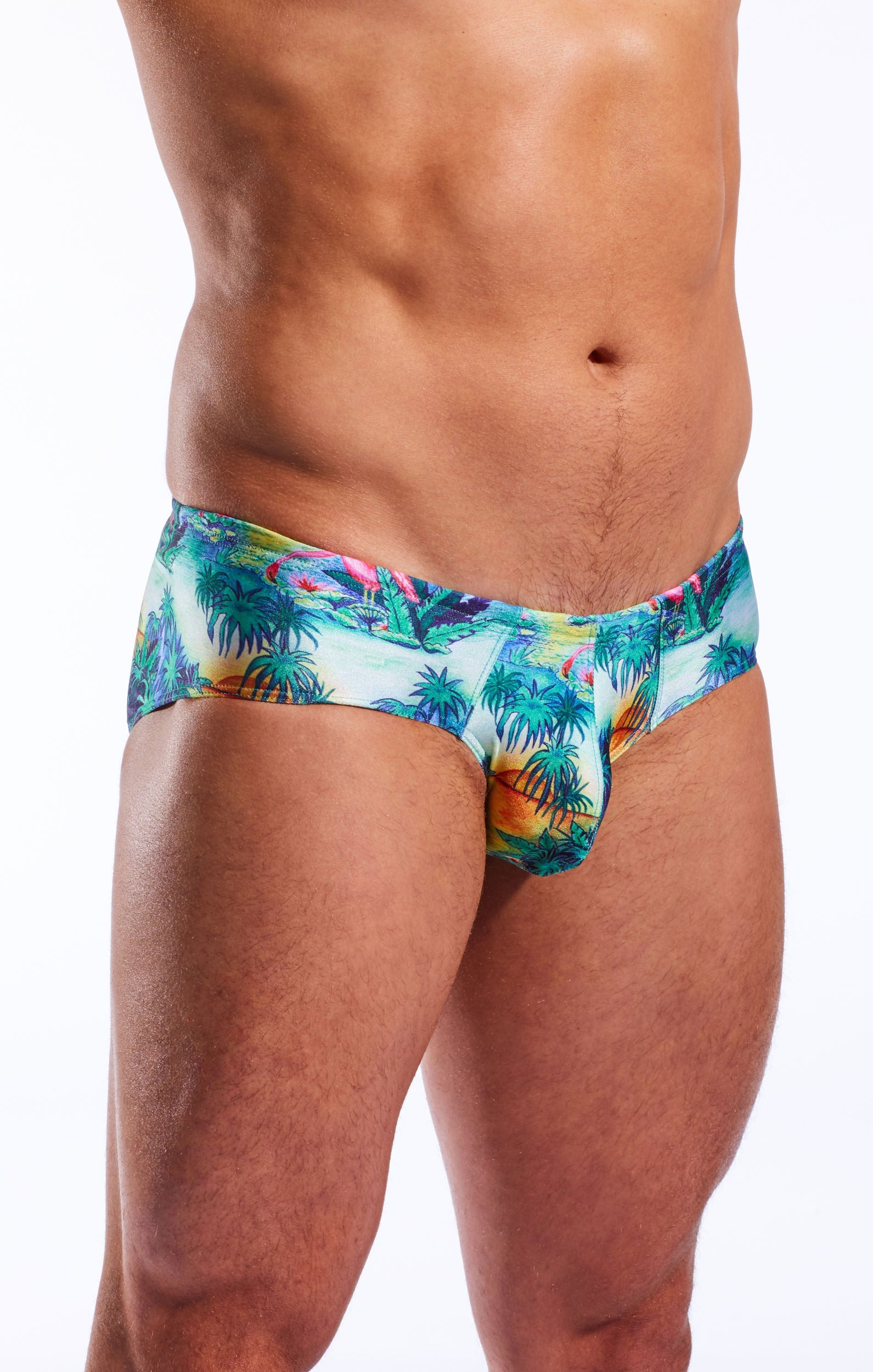 CX79PR Boy Leg Swim Brief - DealByEthan.gay