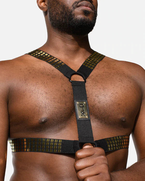 LIQUID HARNESS - DealByEthan.gay