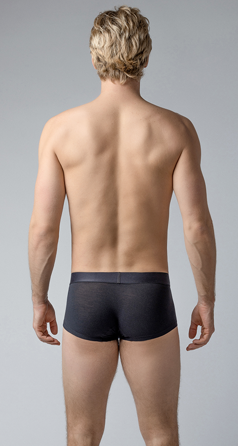 LONG BRIEFS - DealByEthan.gay