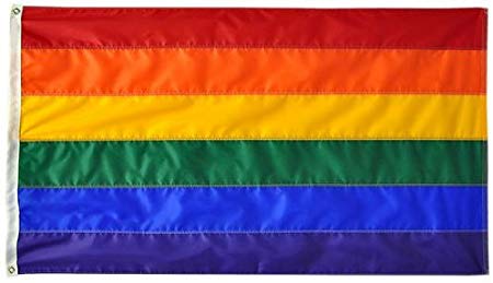 FLAG - PRIDE - DealByEthan.gay