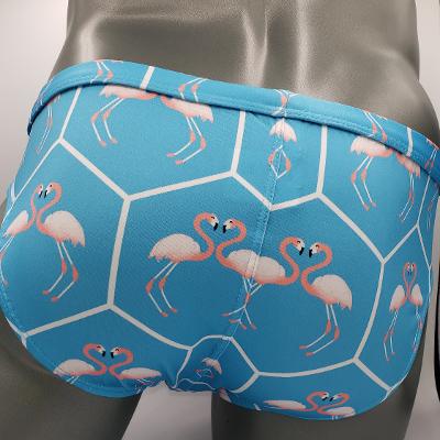 FLAMINGO BRIEF - DealByEthan.gay