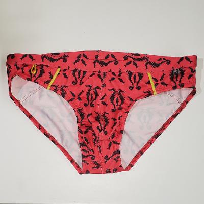 SEA HORSE BRIEF - DealByEthan.gay